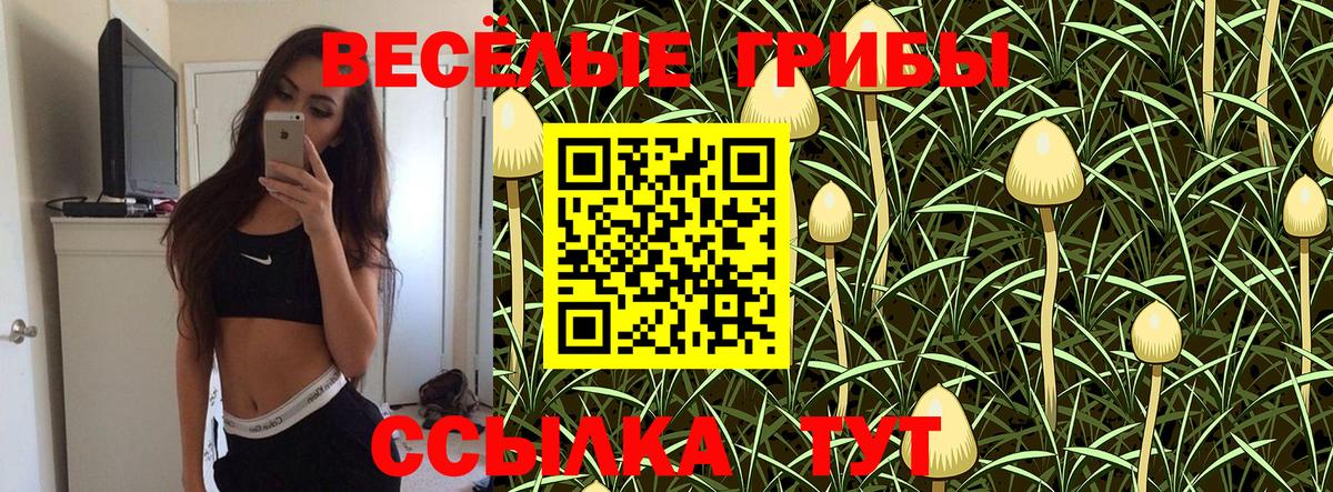 Уварово  Псилоцибиновые грибы мухоморы  Вход с VPN 